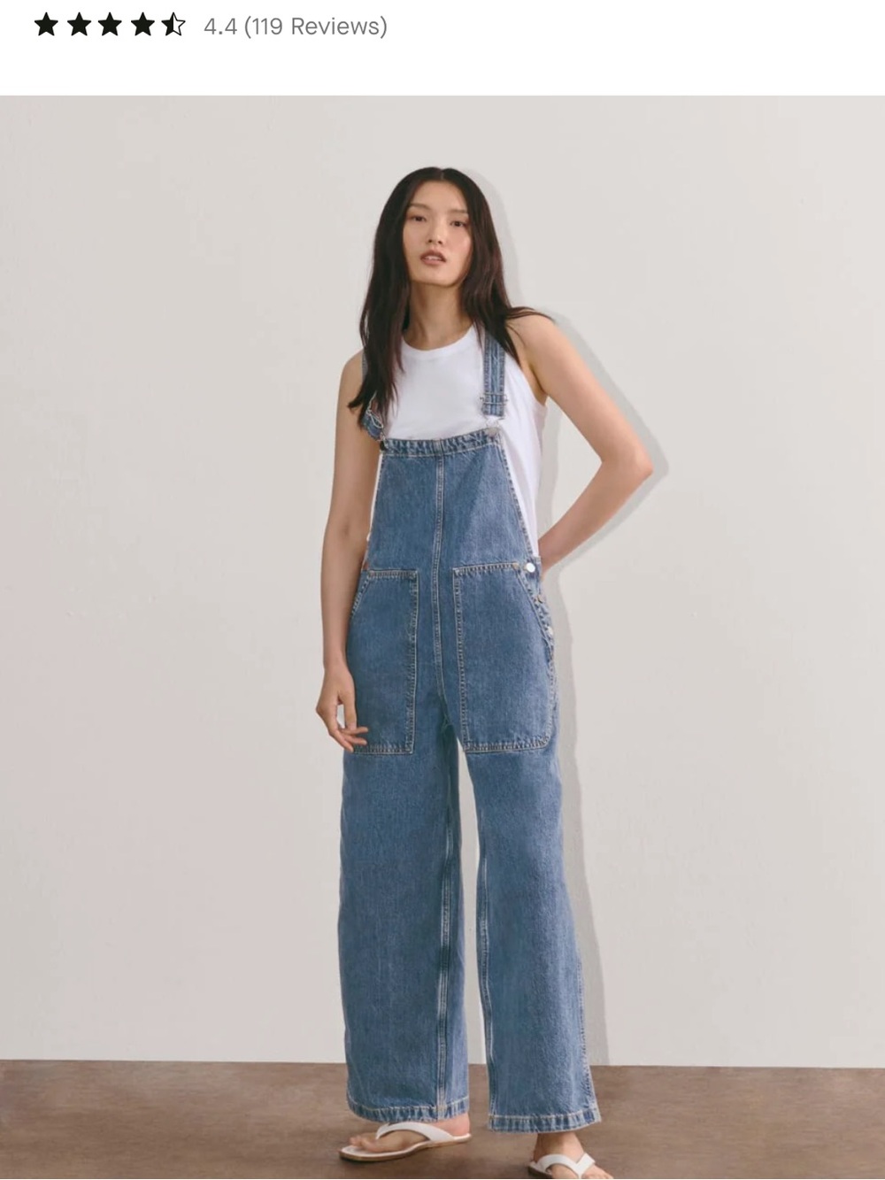 Everlane Gardener Overalls S